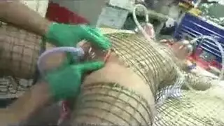 فرج ساره يُضرب في مشهد إباحي صريح