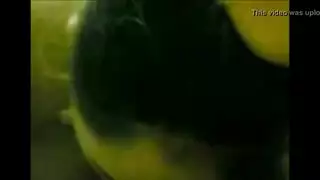 أشباح النيك