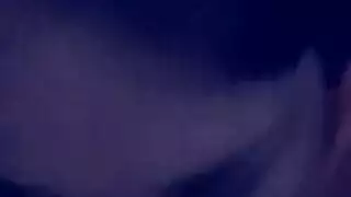 سر ثالوث شرجي لكلبة شقراء