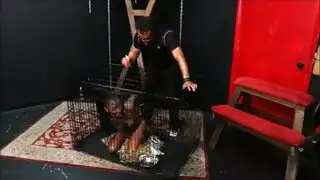 فتاة إيبوني محبطة تأخذ شرج خشن وهيمنة بالسوط