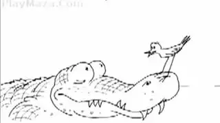 ساكس فالحافلة