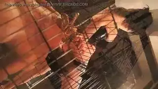 تجميعة جماع محرم مع الأقارب