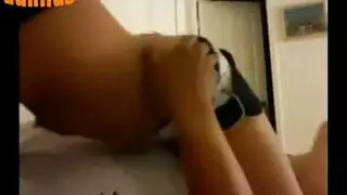 أنات محركة: سكس طريق عام