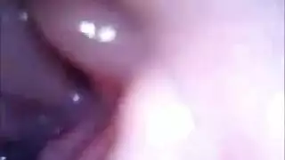 تركيز شرجي: نسخة المؤخرة المستديرة العربية