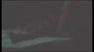 سحر الفيتنامية أرنب